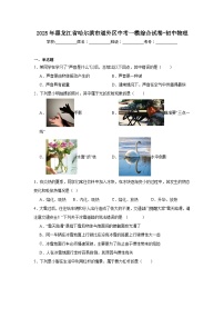 2025年黑龙江省哈尔滨市道外区中考一模物理试题（附答案解析）