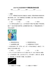 2025年山东省济南市中考模拟测试物理试题（附答案解析）