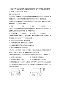 2025年广东省深圳市中考三模物理试题（解析版）