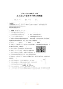 2024～2025学年海南省省直辖县级行政区划乐东县八年级下期末考试物理试卷(含答案)