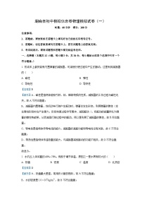 2025年湖南省中考模拟物理试题（解析版）