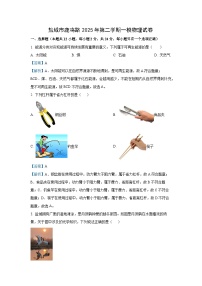 2025年江苏省盐城市中考一模物理试题（解析版）