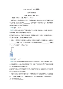 2025年河南省名校中考四模物理试题（解析版）