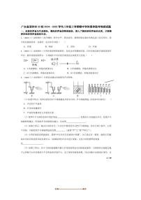 2024～2025学年广东省深圳市33校八年级上期中学科素养联考(月考)物理试卷
