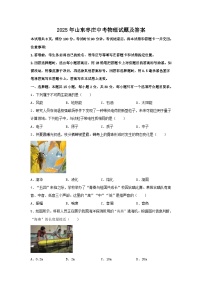 2025年山东枣庄中考物理试题及答案