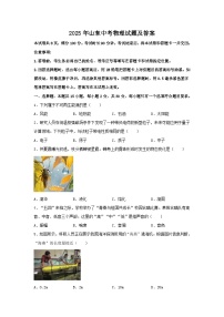 2025年山东中考物理试题及答案