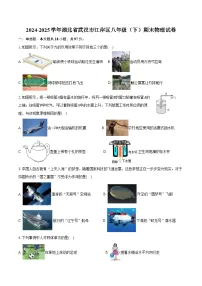 2024-2025学年湖北省武汉市江岸区八年级（下）期末物理试卷（含答案）