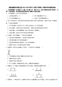 湖南省衡阳市衡山县2024-2025学年八年级下学期6月期末考试物理试卷