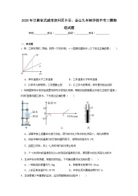 2025年甘肃省武威市凉州区丰乐、金山九年制学校中考三模物理试题（附答案解析）