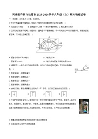 河南省许昌市长葛市2023-2024学年八年级（上）期末物理试卷（含答案）