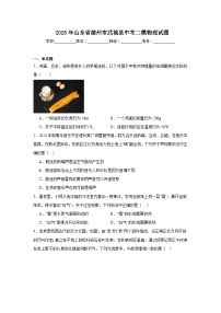 2025年山东省德州市武城县中考二模物理试题（附答案解析）