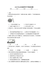 2025年山东省泰安市中考物理试题（无答案）