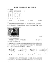 第五章 透镜及其应用 期末复习练习 人教版 物理八年级上册