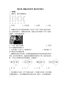 第五章 透镜及其应用 期末复习练习 人教版 物理八年级上册