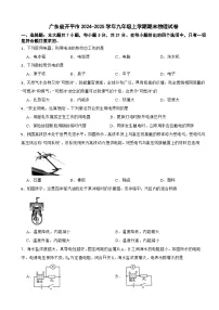 广东省开平市2024-2025学年九年级上学期期末物理试卷