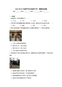 2025年辽宁省葫芦岛兴城市中考一模物理试题（附答案解析）