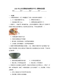 2025年山东省聊城市高唐县中考三模物理试题（附答案解析）