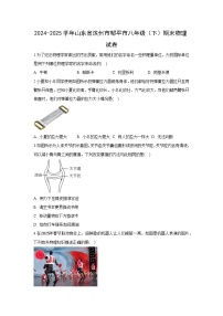 山东省滨州市邹平市2024-2025学年八年级下学期期末物理试题（解析版）