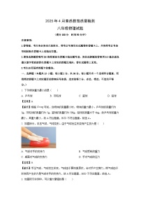 山东省菏泽市曹县2024-2025学年八年级下学期期中物理试题（解析版）