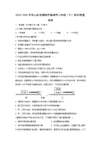 山东省聊城市临清市2024-2025学年八年级下学期期末物理试题（解析版）
