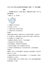 山东省青岛市市南区2024-2025学年八年级下学期期中考试物理试题（解析版）