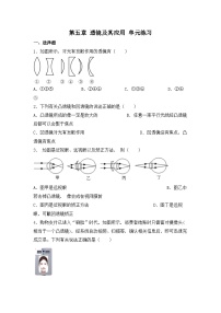 人教版物理八年级上册 第五章 透镜及其应用 单元练习