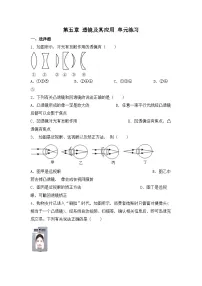 人教版物理八年级上册 第五章 透镜及其应用 单元练习