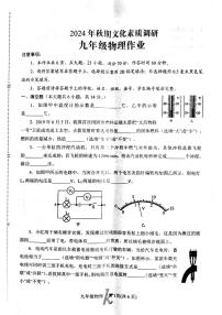 河南省南阳市西峡县2024-2025学年九年级上学期11月期中物理试题