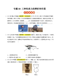 三年（2023-2025）中考物理真题分类汇编：专题08 三种性质力的辨析和作图（原卷版）