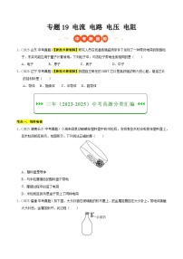 三年（2023-2025）中考物理真题分类汇编：专题19 电流 电路 电压 电阻（原卷版）