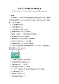 2025年山东省潍坊市中考物理真题（无答案）