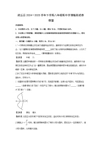 河南省新乡市封丘县2024-2025学年八年级下学期期中物理试题（解析版）