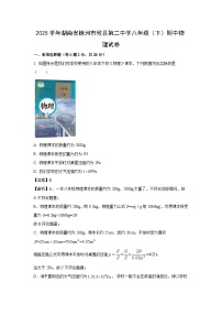湖南省株洲市攸县2024-2025学年八年级下学期期中物理试题（解析版）