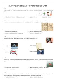 2025年陕西咸阳秦都区高新一中中考模拟物理试卷（六模）（有答案解析）
