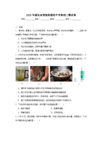 2025年湖北省荆楚联盟校中考物理三模试卷（无答案）