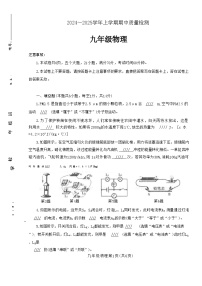 河南省平顶山市汝州市2024-2025学年九年级上学期11月期中物理试卷+