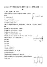 河南省商丘市柘城县2023-2024学年九年级上学期月考物理试卷（1月份）