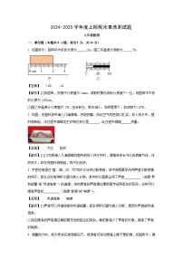 河南省驻马店市泌阳县2024-2025学年八年级上学期期末物理试卷（解析版）