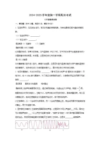 河南省商丘市夏邑县联考2024-2025学年八年级上学期期末物理试卷（解析版）