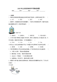 2025年山东省济南市中考物理试题（附答案解析）