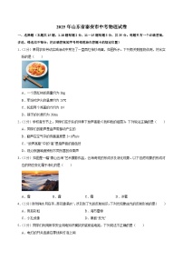 2025年山东省泰安市中考物理试卷附答案