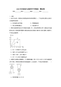 2025年河南省九校联考中考物理一模试卷（无答案）