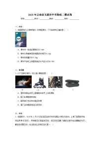 2025年云南省玉溪市中考物理二模试卷（无答案）