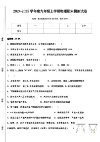 2024-2025学年度九年级上学期物理期末模拟试卷（含答案）