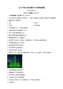 2025年四川省成都市中考物理真题（含解析）