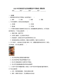 2025年河南省驻马店市新蔡县中考物理三模试卷（附答案解析）