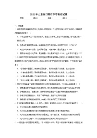 2025年山东省日照市中考物理试题（附答案解析）