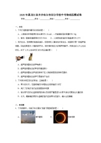 2025年黑龙江省齐齐哈尔市部分学校中考物理四模试卷（无答案）