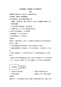 河北省石家庄市新华区2024-2025学年九年级上学期期中物理试卷（解析版）