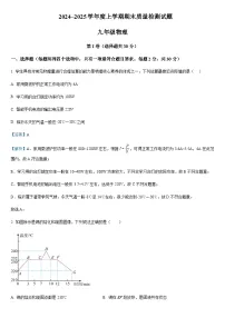 2024-2025学年山东省临沂市兰山区九年级上学期期末物理试题+答案
